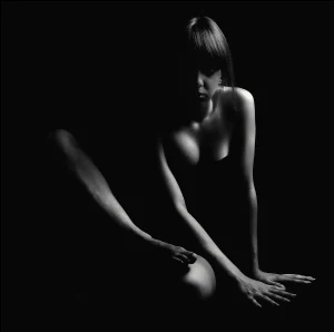 12h escort service in wien tipps